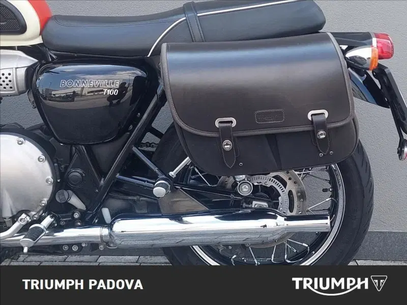 Triumph Bonneville T100 (2017 - 20) (14)