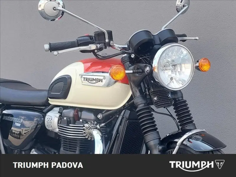 Triumph Bonneville T100 (2017 - 20) (10)