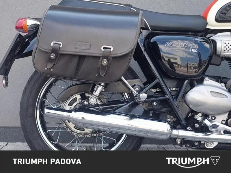 Triumph Bonneville T100 (2017 - 20) (4)