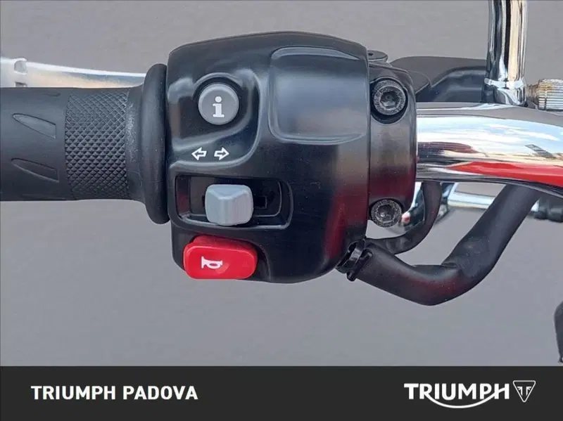 Triumph Bonneville T100 (2017 - 20) (24)