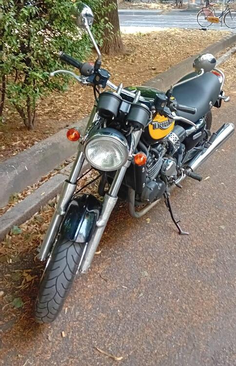 Triumph Thunderbird 900 Sport (2003 - 04) (3)