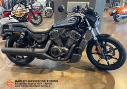 Harley-Davidson Nightster (2023 - 25) usata