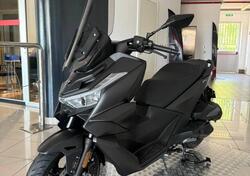 Voge Sfida SR3 (2024 - 25) nuova