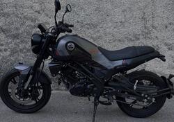 Benelli Leoncino 125 (2022 - 25) usata