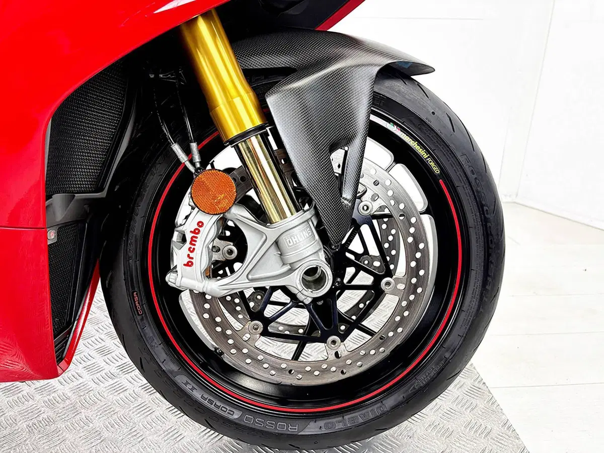 Ducati Panigale V4 S 1100 (2018 - 19) (9)