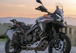 Morbidelli T1002VX (2024 - 25) nuova