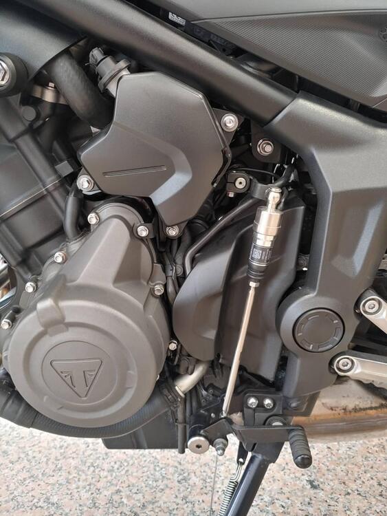 Triumph Trident 660 (2021 - 24) (5)