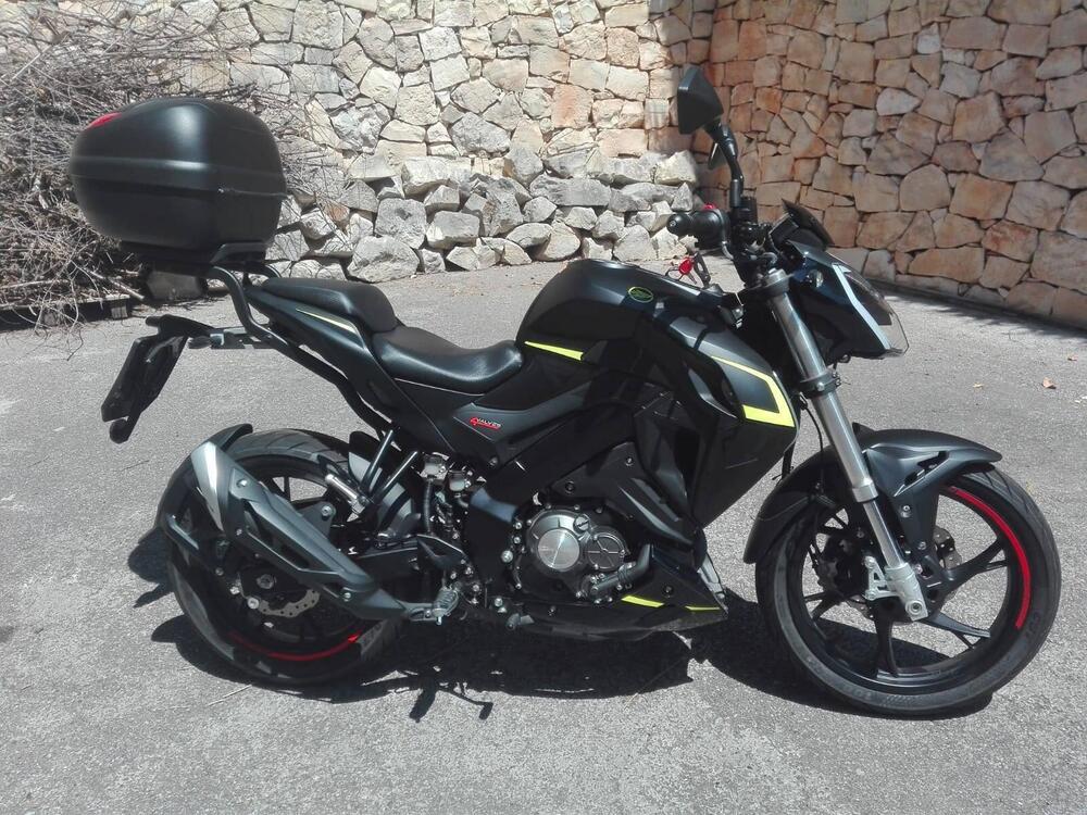 Keeway Motor RKF 125 (2021 - 24) (5)