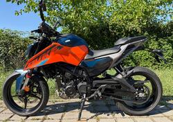 KTM 125 Duke (2024 - 26) usata