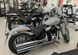 Harley-Davidson Softail Standard (2020) - FXST usata