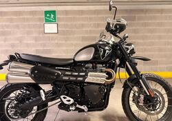 Triumph Scrambler 1200 XE Bond Edition (2020) usata