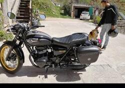Kawasaki W 800 (2010 - 17) usata