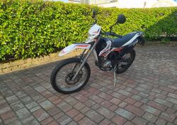 Betamotor RE 125 4T (2012 - 17) usata