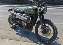 Triumph Scrambler (2006 - 17) usata