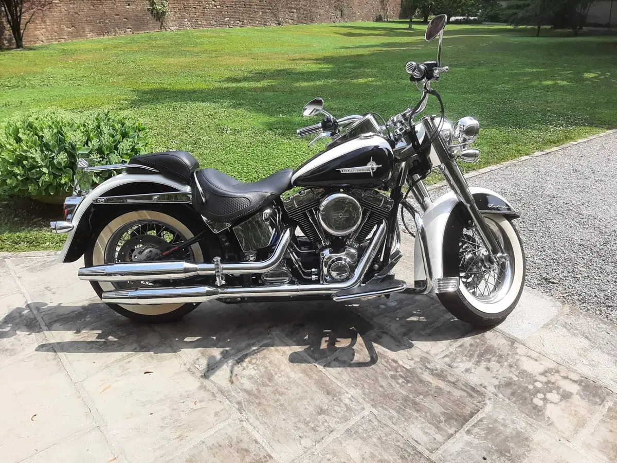 Harley-Davidson 1450 Deluxe (2005 - 06) - FLSTNI (2)