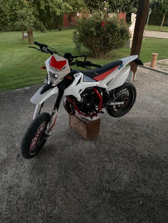 Betamotor RR 50 Motard Sport (2018 - 20) (3)