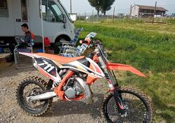 KTM 85 SX (2022) usata