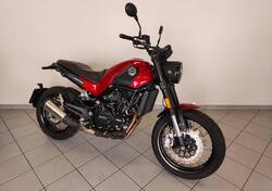Benelli Leoncino 500 Trail (2021 - 25) usata