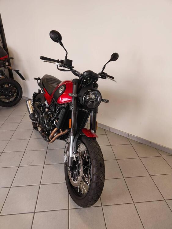 Benelli Leoncino 500 Trail (2021 - 25) (4)