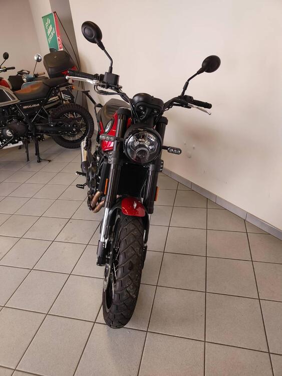 Benelli Leoncino 500 Trail (2021 - 25) (5)