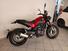Benelli Leoncino 500 Trail (2021 - 25) (6)