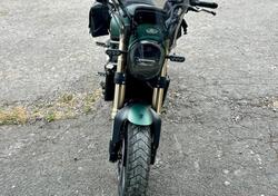 Benelli Leoncino 800 (2022 - 25) usata