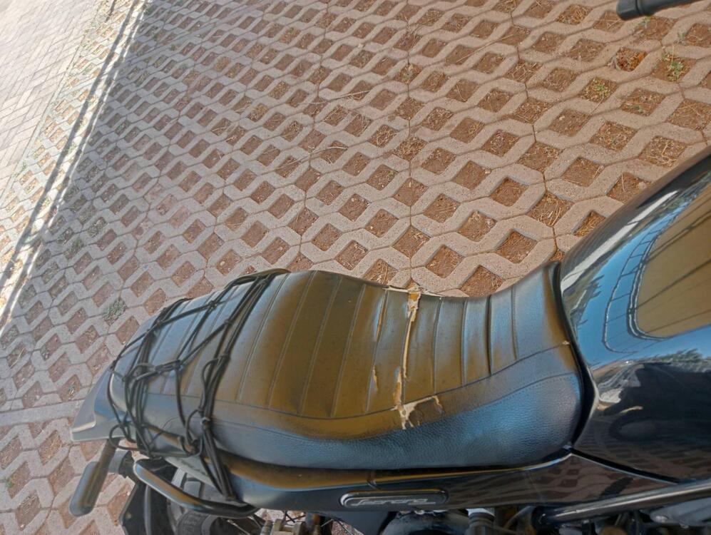 Benelli Leoncino 500 Trail ABS (2017 - 20) (5)