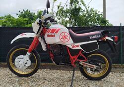 Yamaha XT 600 d'epoca