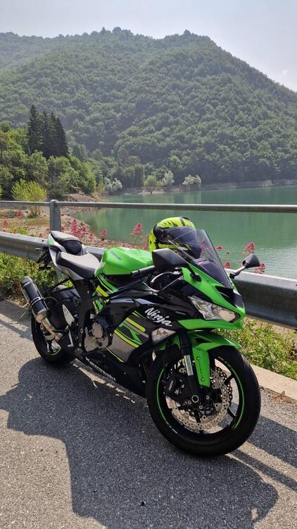 Kawasaki Ninja 636 ZX-6R KRT (2019 - 20)