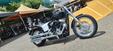 Harley-Davidson Softail Standard (2020) - FXST (12)