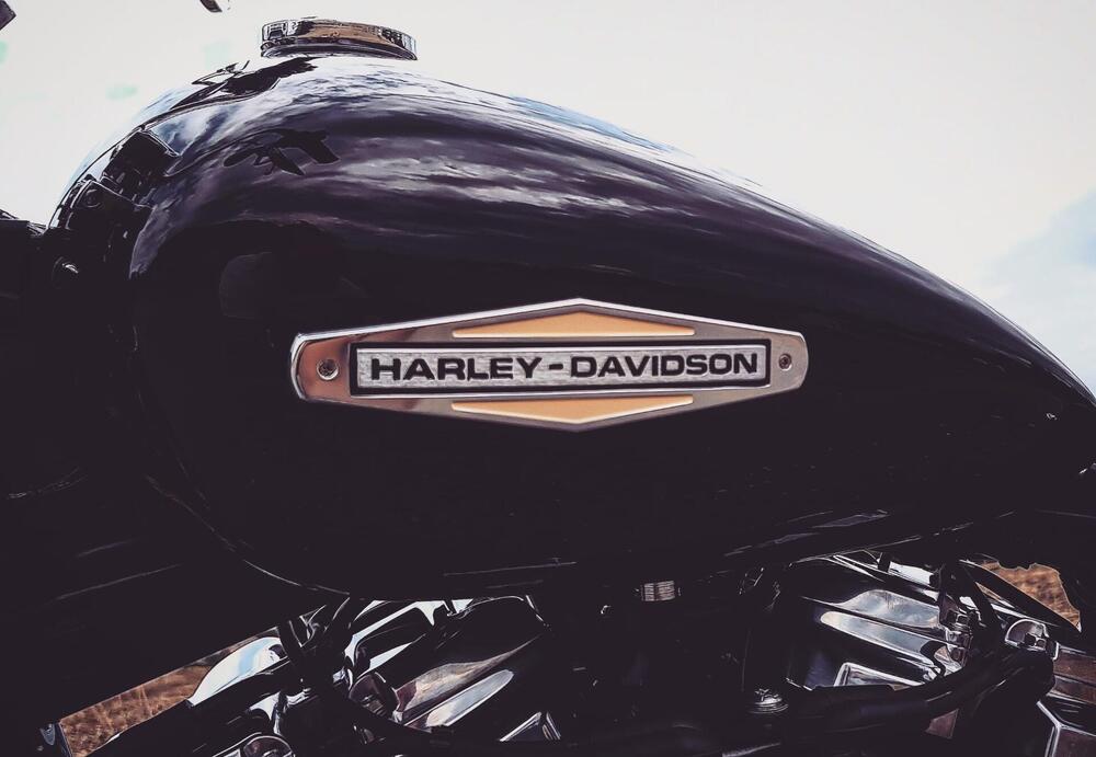 Harley-Davidson Softail Standard (2020) - FXST (5)