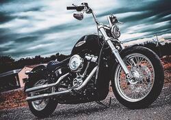 Harley-Davidson Softail Standard (2020) - FXST usata