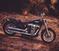 Harley-Davidson Softail Standard (2020) - FXST (8)