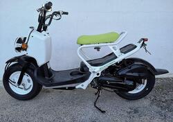 Honda Zoomer usata