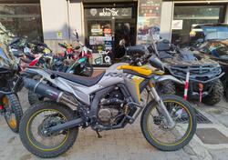 Voge Valico 300 Rally (2022 - 25) usata