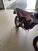 Betamotor RR 125 4T Motard LC (2018 - 20) (8)