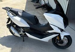 Morbidelli SC300 (2024 - 25) nuova