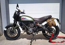 Ducati Scrambler 800 Urban Enduro (2015 - 16) usata