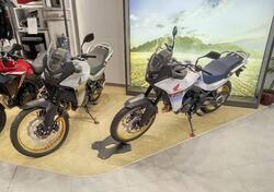 Honda Transalp XL750 (2025) nuova