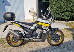 Kove 800X Pro (2024 - 25) usata