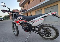 Betamotor RR 50 Enduro (2011 - 18) usata