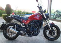 Benelli Leoncino 500 (2021 - 25) usata