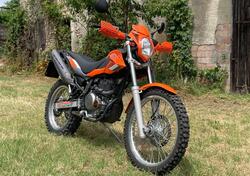 Betamotor Alp 4.0 (2008 - 17) usata