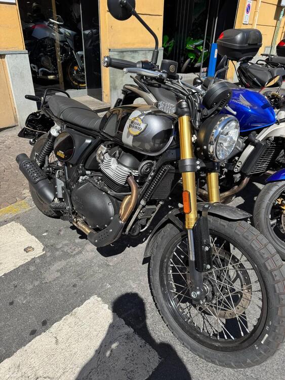 Royal Enfield Bear 650 (2025)