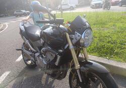 Honda Hornet 600 (2005 - 06) usata