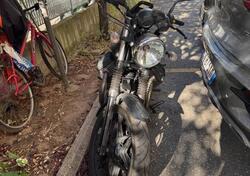 Moto Guzzi V7 II Stone (2015 - 17) usata