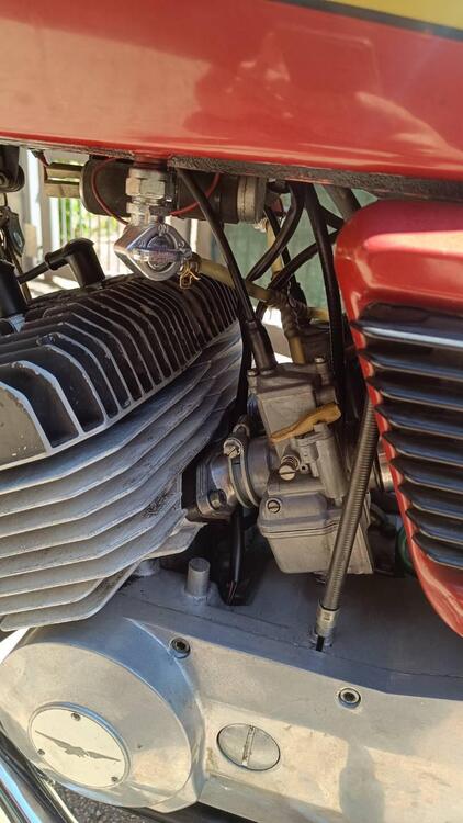 Moto Guzzi 250 TS Elettronica (4)