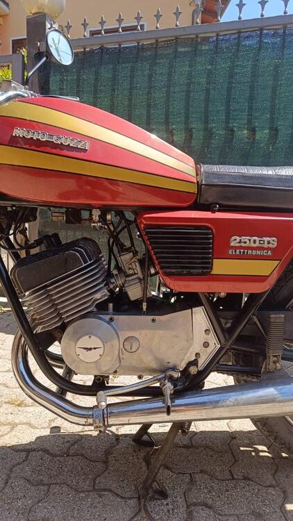 Moto Guzzi 250 TS Elettronica (5)