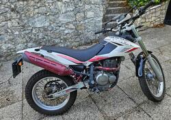 Betamotor Alp 4.0 (2008 - 17) usata