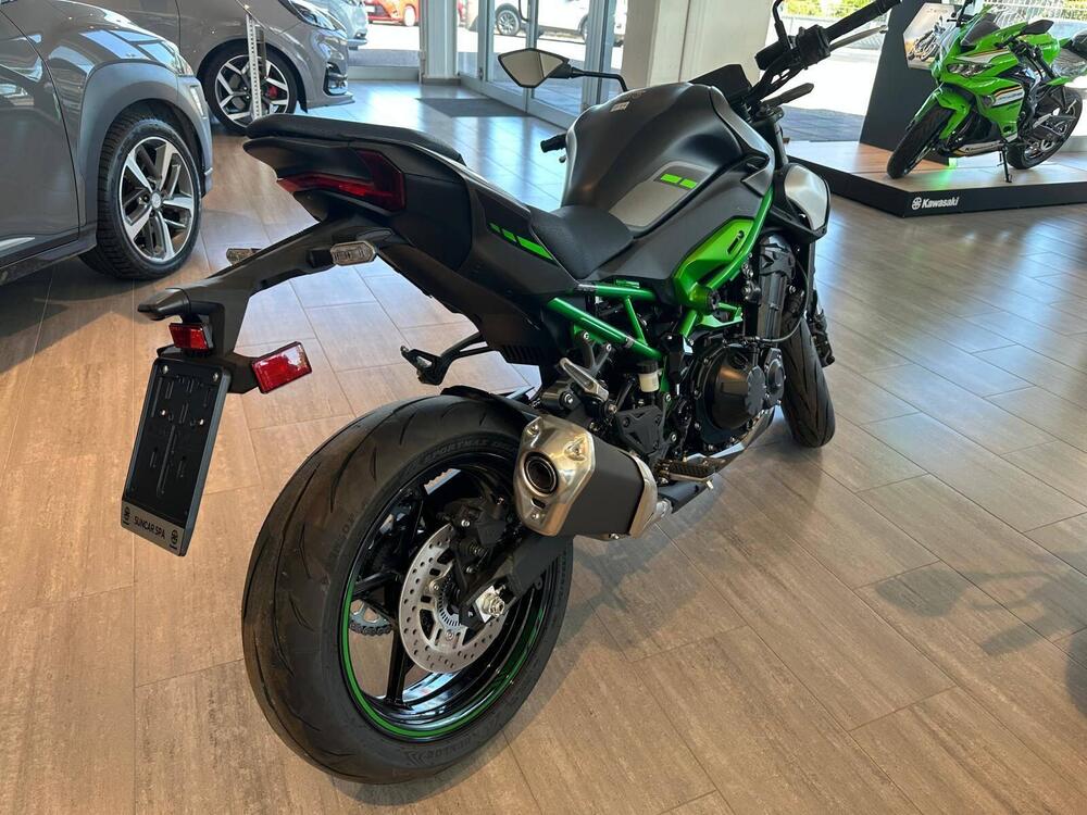 Kawasaki Z 900 (2025) (3)